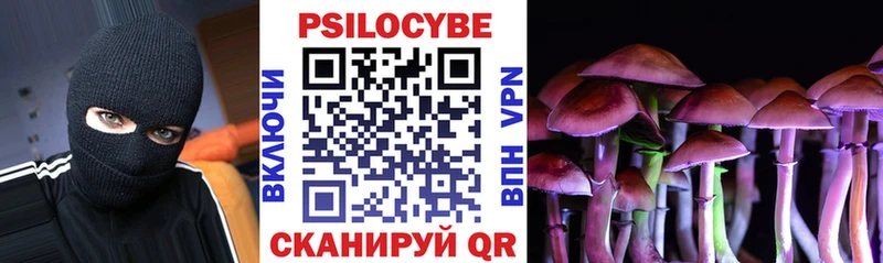 Псилоцибиновые грибы мицелий  Купить где  Жуковский 
