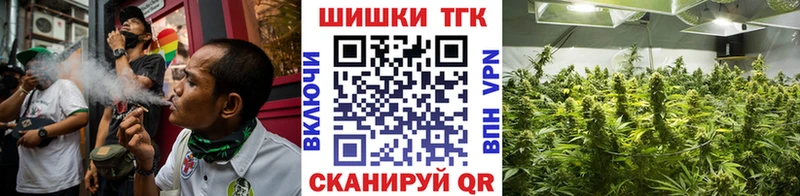 Купить закладки  Жуковский  Бошки марихуана марихуана 